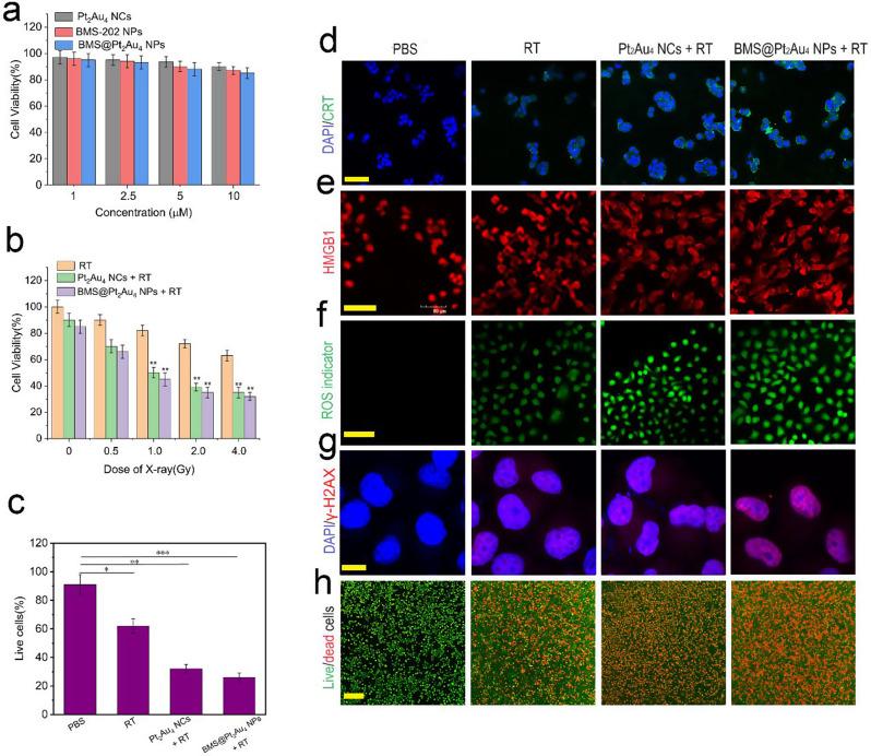 https://cdn.ncbi.nlm.nih.gov/pmc/blobs/ae9d/11657501/fc51c565542d/12951_2024_3057_Fig4_HTML.jpg