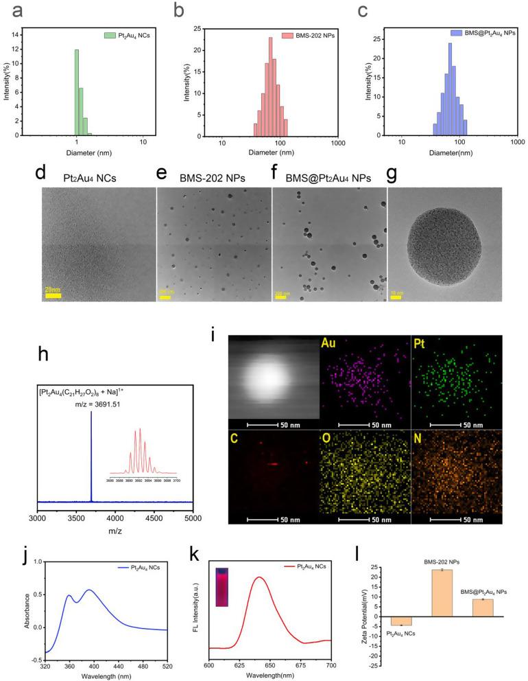 https://cdn.ncbi.nlm.nih.gov/pmc/blobs/ae9d/11657501/fe23e2c889a7/12951_2024_3057_Fig1_HTML.jpg
