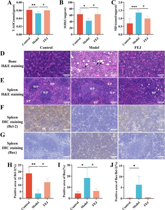 https://cdn.ncbi.nlm.nih.gov/pmc/blobs/ae9e/12197926/ca1777b0860f/fimmu-16-1561477-g002.jpg