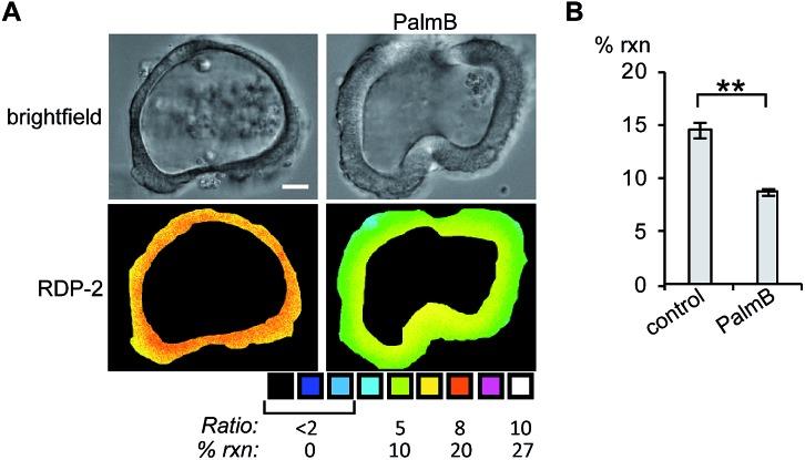 https://cdn.ncbi.nlm.nih.gov/pmc/blobs/ae9e/5848818/5ffb6a07cdcd/c7sc02805a-f4.jpg