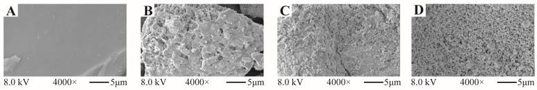 https://cdn.ncbi.nlm.nih.gov/pmc/blobs/aea0/10708025/4f7aa92f4fb2/molecules-28-07746-g004.jpg