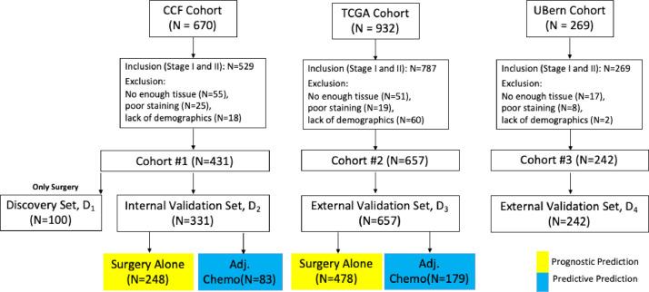 https://cdn.ncbi.nlm.nih.gov/pmc/blobs/aea0/8282972/9d49510cd61f/gr1.jpg