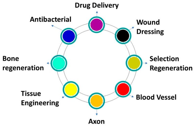 https://cdn.ncbi.nlm.nih.gov/pmc/blobs/aea1/11314412/4b7e1c4ca373/nanomaterials-14-01305-g004.jpg