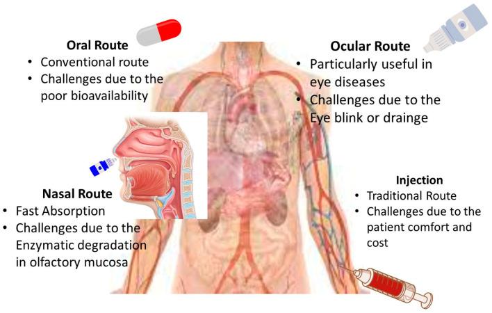 https://cdn.ncbi.nlm.nih.gov/pmc/blobs/aea1/11314412/4d1ac13bba99/nanomaterials-14-01305-g003.jpg