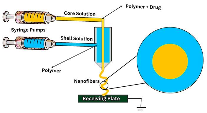 https://cdn.ncbi.nlm.nih.gov/pmc/blobs/aea1/11314412/70a050840fbf/nanomaterials-14-01305-g009.jpg