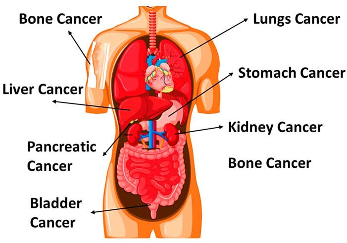 https://cdn.ncbi.nlm.nih.gov/pmc/blobs/aea1/11314412/efeb8bd69edb/nanomaterials-14-01305-g001.jpg