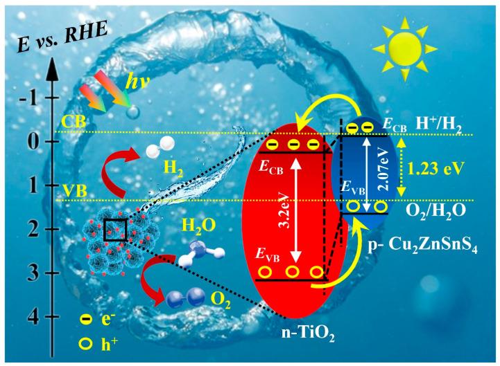 https://cdn.ncbi.nlm.nih.gov/pmc/blobs/aea2/11173519/1a52a6b2cc1e/molecules-29-02514-g009.jpg