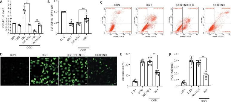 https://cdn.ncbi.nlm.nih.gov/pmc/blobs/aea2/8504397/2bff50842375/NRR-17-577-g005.jpg