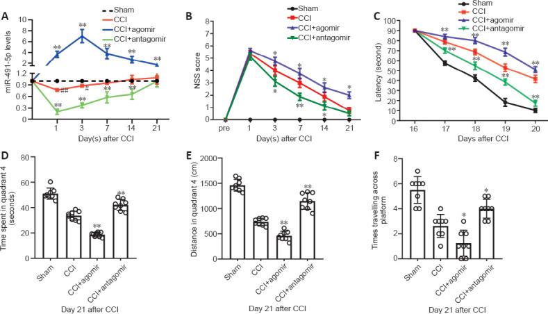 https://cdn.ncbi.nlm.nih.gov/pmc/blobs/aea2/8504397/a854fc195e48/NRR-17-577-g002.jpg