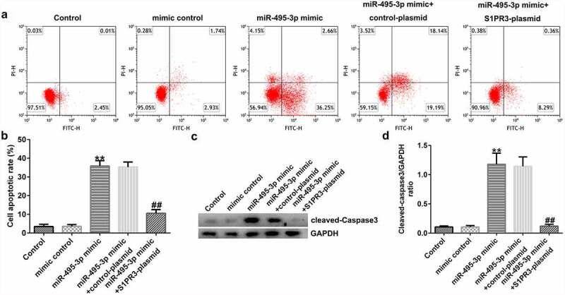 https://cdn.ncbi.nlm.nih.gov/pmc/blobs/aea2/8973981/20b204650001/KBIE_A_2037841_F0008_OC.jpg
