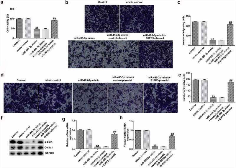 https://cdn.ncbi.nlm.nih.gov/pmc/blobs/aea2/8973981/2b75c6b9d5c1/KBIE_A_2037841_F0007_OC.jpg