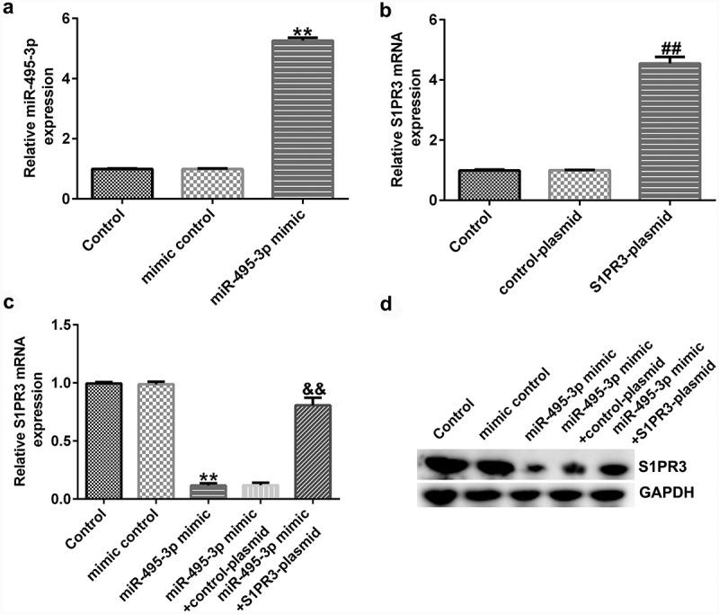 https://cdn.ncbi.nlm.nih.gov/pmc/blobs/aea2/8973981/6d36560f5149/KBIE_A_2037841_F0006_B.jpg