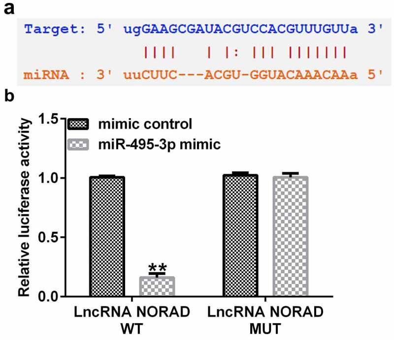 https://cdn.ncbi.nlm.nih.gov/pmc/blobs/aea2/8973981/9f94d4ae718a/KBIE_A_2037841_F0001_OC.jpg