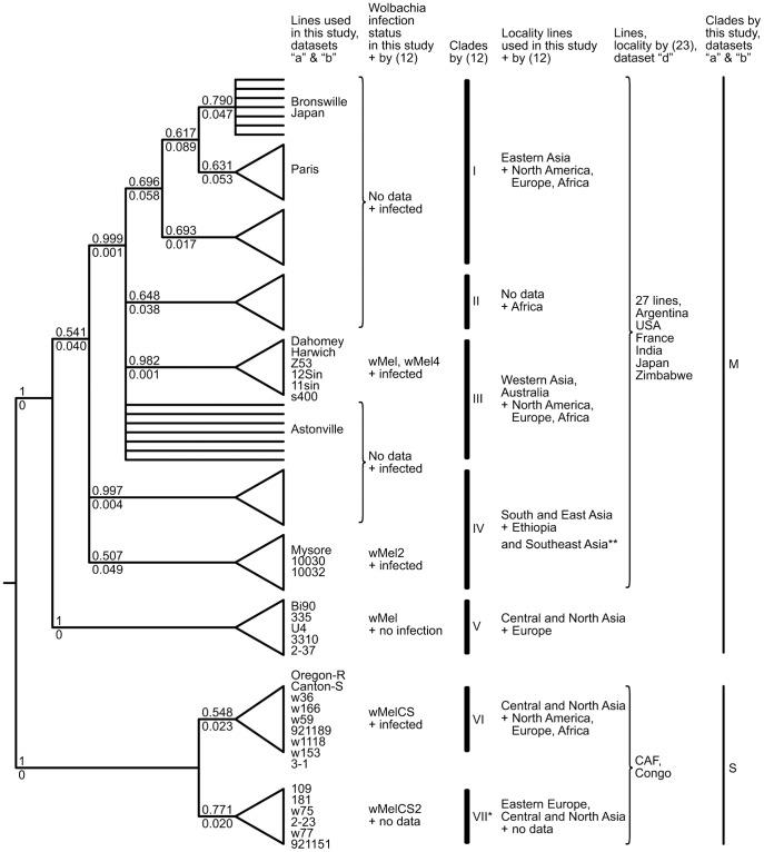 https://cdn.ncbi.nlm.nih.gov/pmc/blobs/aea4/3547870/283b64917dbc/pone.0054373.g003.jpg