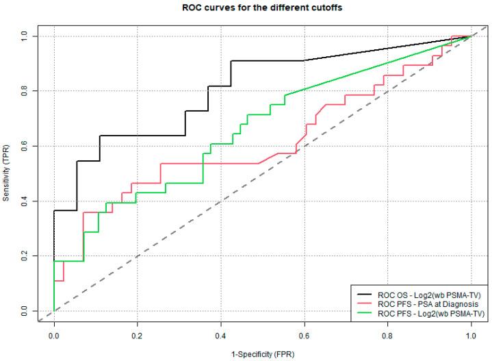 https://cdn.ncbi.nlm.nih.gov/pmc/blobs/aea6/12249072/855bc38dafcc/cancers-17-02249-g006.jpg