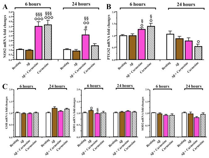 https://cdn.ncbi.nlm.nih.gov/pmc/blobs/aea6/8146816/180e29f6e491/biomedicines-09-00477-g007.jpg