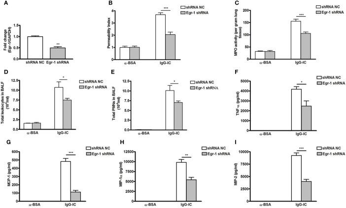 https://cdn.ncbi.nlm.nih.gov/pmc/blobs/aea9/7947684/43038641f8f4/fimmu-12-634889-g006.jpg