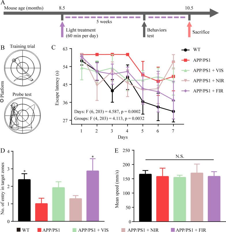 https://cdn.ncbi.nlm.nih.gov/pmc/blobs/aea9/9195249/467235366eac/12974_2022_2521_Fig1_HTML.jpg