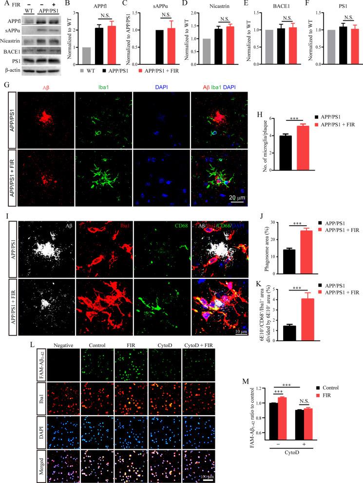 https://cdn.ncbi.nlm.nih.gov/pmc/blobs/aea9/9195249/bce49cc1c08f/12974_2022_2521_Fig3_HTML.jpg