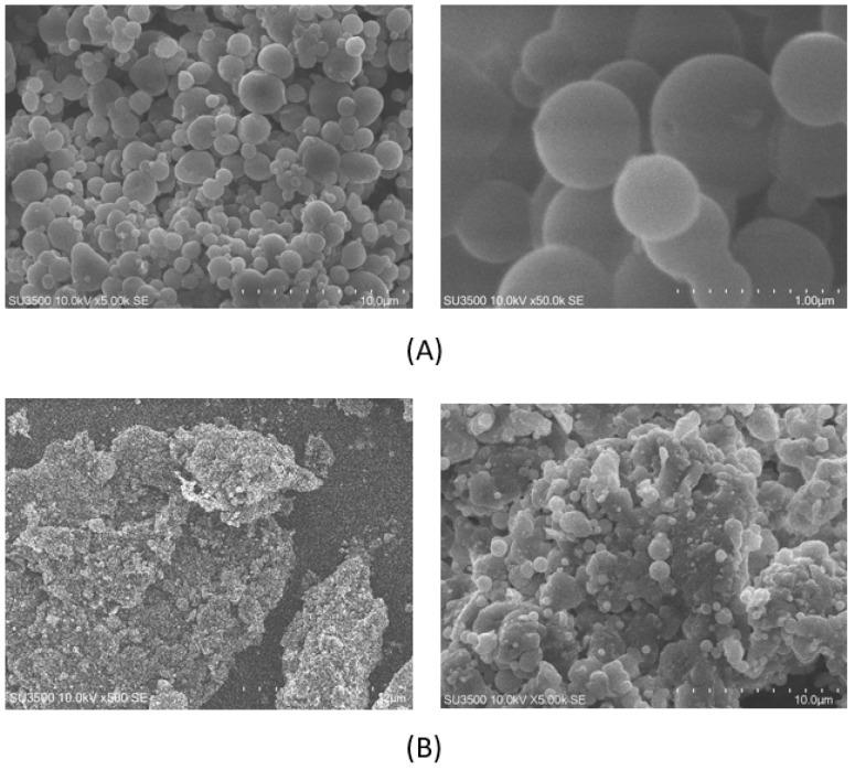 https://cdn.ncbi.nlm.nih.gov/pmc/blobs/aeab/10674958/ddbc29ad6502/molecules-28-07585-g003.jpg