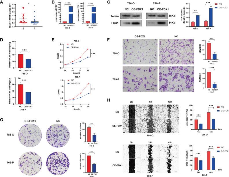 https://cdn.ncbi.nlm.nih.gov/pmc/blobs/aeab/9582538/287c46b1a9a5/fimmu-13-948042-g011.jpg