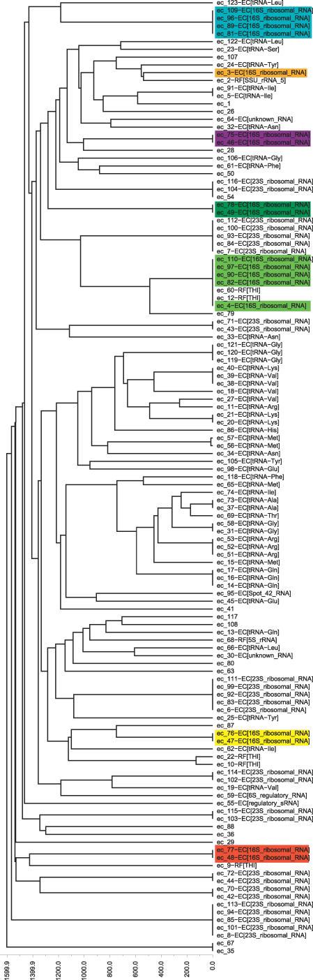 https://cdn.ncbi.nlm.nih.gov/pmc/blobs/aeac/1857805/ac0ca9c3621d/pcbi.0030065.g002.jpg