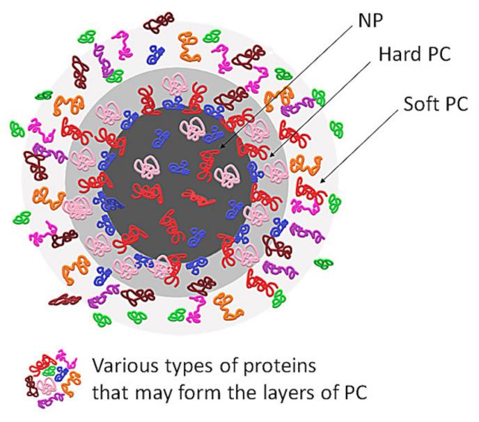 https://cdn.ncbi.nlm.nih.gov/pmc/blobs/aead/7587607/7cb41f84d4f7/molecules-25-04758-g001.jpg