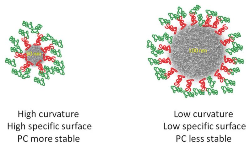 https://cdn.ncbi.nlm.nih.gov/pmc/blobs/aead/7587607/8f53a60efb58/molecules-25-04758-g004.jpg
