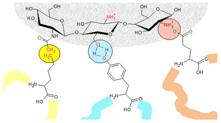 https://cdn.ncbi.nlm.nih.gov/pmc/blobs/aead/7587607/a5a111784745/molecules-25-04758-g005.jpg