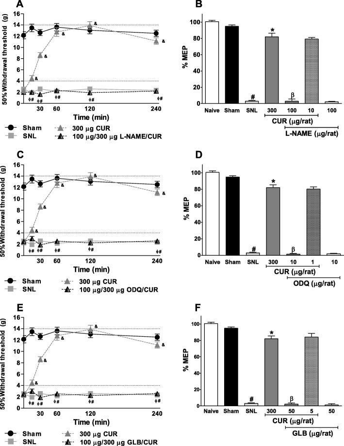 https://cdn.ncbi.nlm.nih.gov/pmc/blobs/aeaf/7076866/0210f50c5c7e/12906_2020_2867_Fig2_HTML.jpg