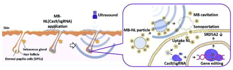 https://cdn.ncbi.nlm.nih.gov/pmc/blobs/aeb2/10382061/856dd4973b64/jfb-14-00373-g006.jpg