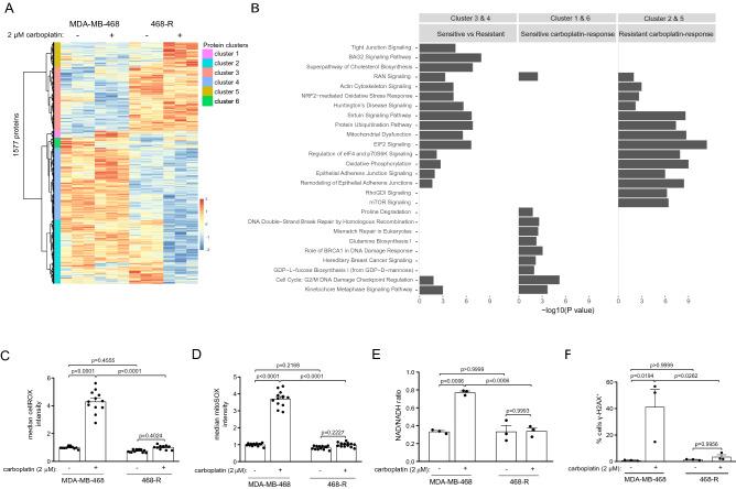 https://cdn.ncbi.nlm.nih.gov/pmc/blobs/aeb2/7862668/55779695bf3f/41598_2021_82780_Fig2_HTML.jpg