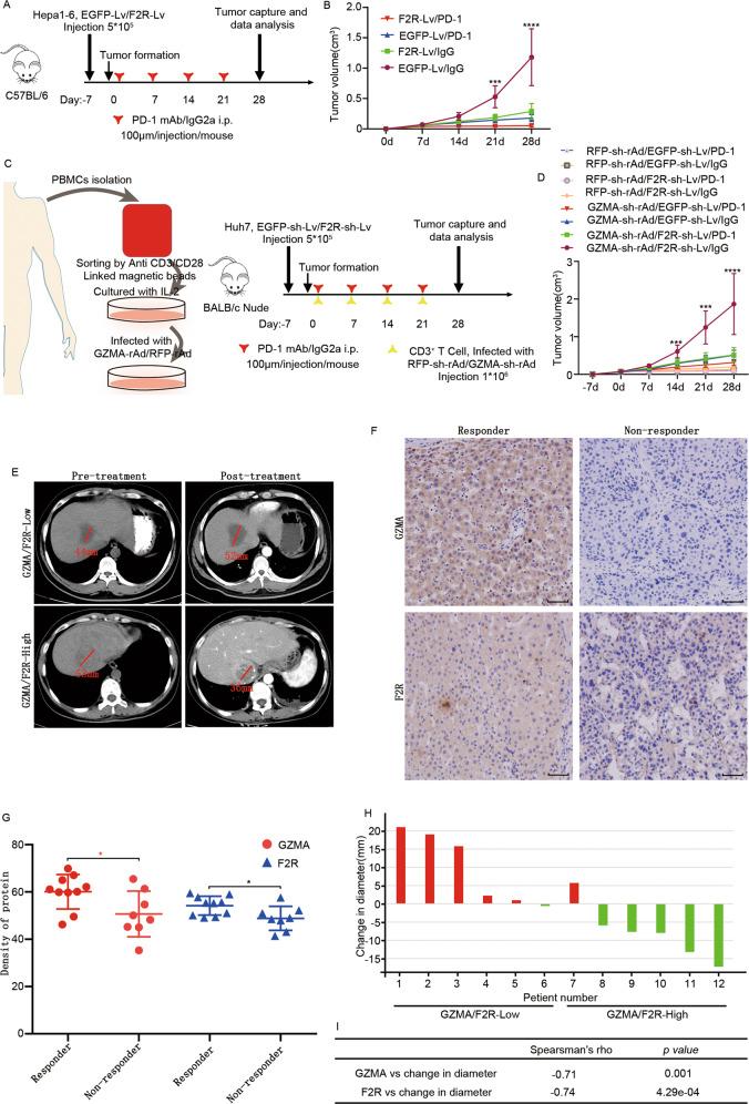 https://cdn.ncbi.nlm.nih.gov/pmc/blobs/aeb2/8901912/01d03a158d93/41419_2022_4654_Fig7_HTML.jpg
