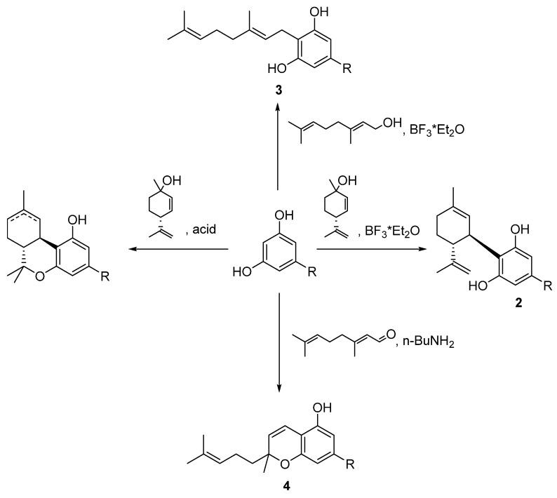 https://cdn.ncbi.nlm.nih.gov/pmc/blobs/aeb4/9406211/246448d67889/biomolecules-12-01084-sch007.jpg