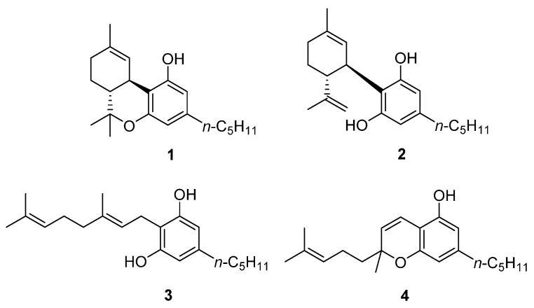 https://cdn.ncbi.nlm.nih.gov/pmc/blobs/aeb4/9406211/a155574e3608/biomolecules-12-01084-g001.jpg