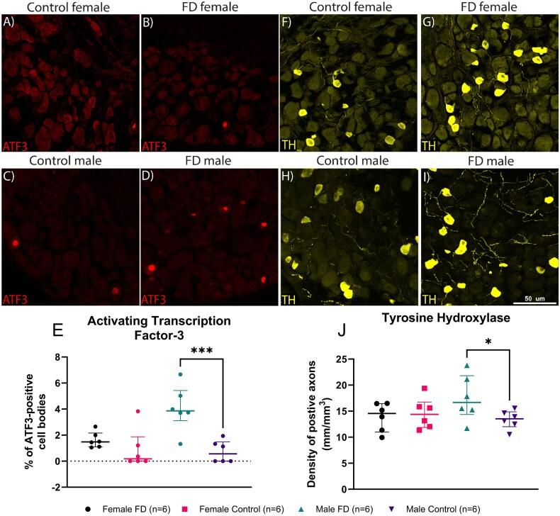 https://cdn.ncbi.nlm.nih.gov/pmc/blobs/aeb6/12188752/e48580aaf243/zjaf039f4.jpg