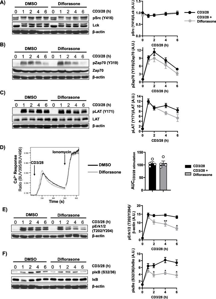 https://cdn.ncbi.nlm.nih.gov/pmc/blobs/aeb7/12139085/6f4f44103f2c/12964_2025_2266_Fig2_HTML.jpg