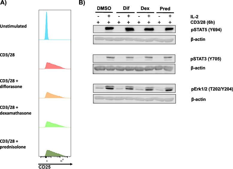 https://cdn.ncbi.nlm.nih.gov/pmc/blobs/aeb7/12139085/82452bc2b394/12964_2025_2266_Fig10_HTML.jpg