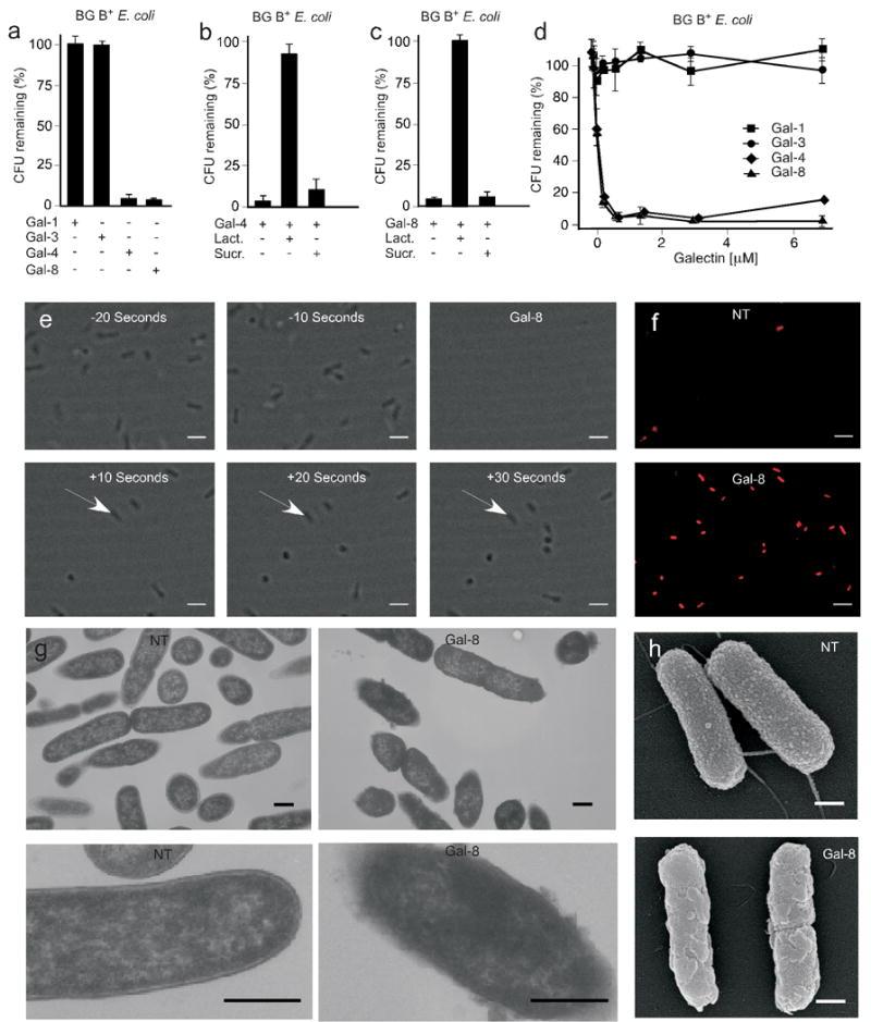 https://cdn.ncbi.nlm.nih.gov/pmc/blobs/aeb7/2853181/539b09c6928b/nihms170964f2.jpg