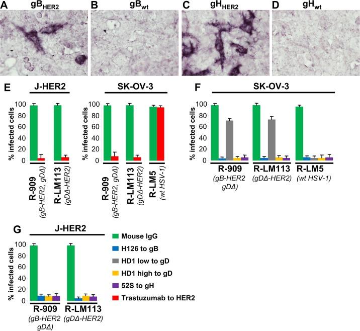 https://cdn.ncbi.nlm.nih.gov/pmc/blobs/aeb7/5411103/273f3048e57a/ppat.1006352.g004.jpg