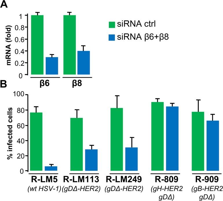 https://cdn.ncbi.nlm.nih.gov/pmc/blobs/aeb7/5411103/f9e77aefe7bc/ppat.1006352.g007.jpg