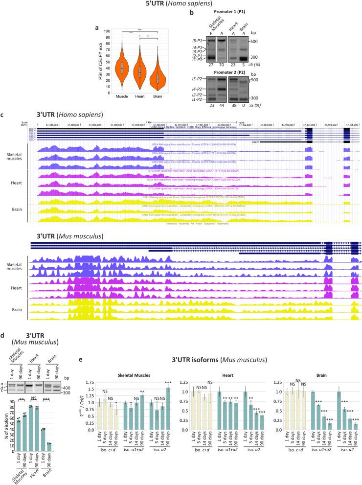 https://cdn.ncbi.nlm.nih.gov/pmc/blobs/aeb8/8742084/6b5860be6f67/41598_2021_3901_Fig2_HTML.jpg