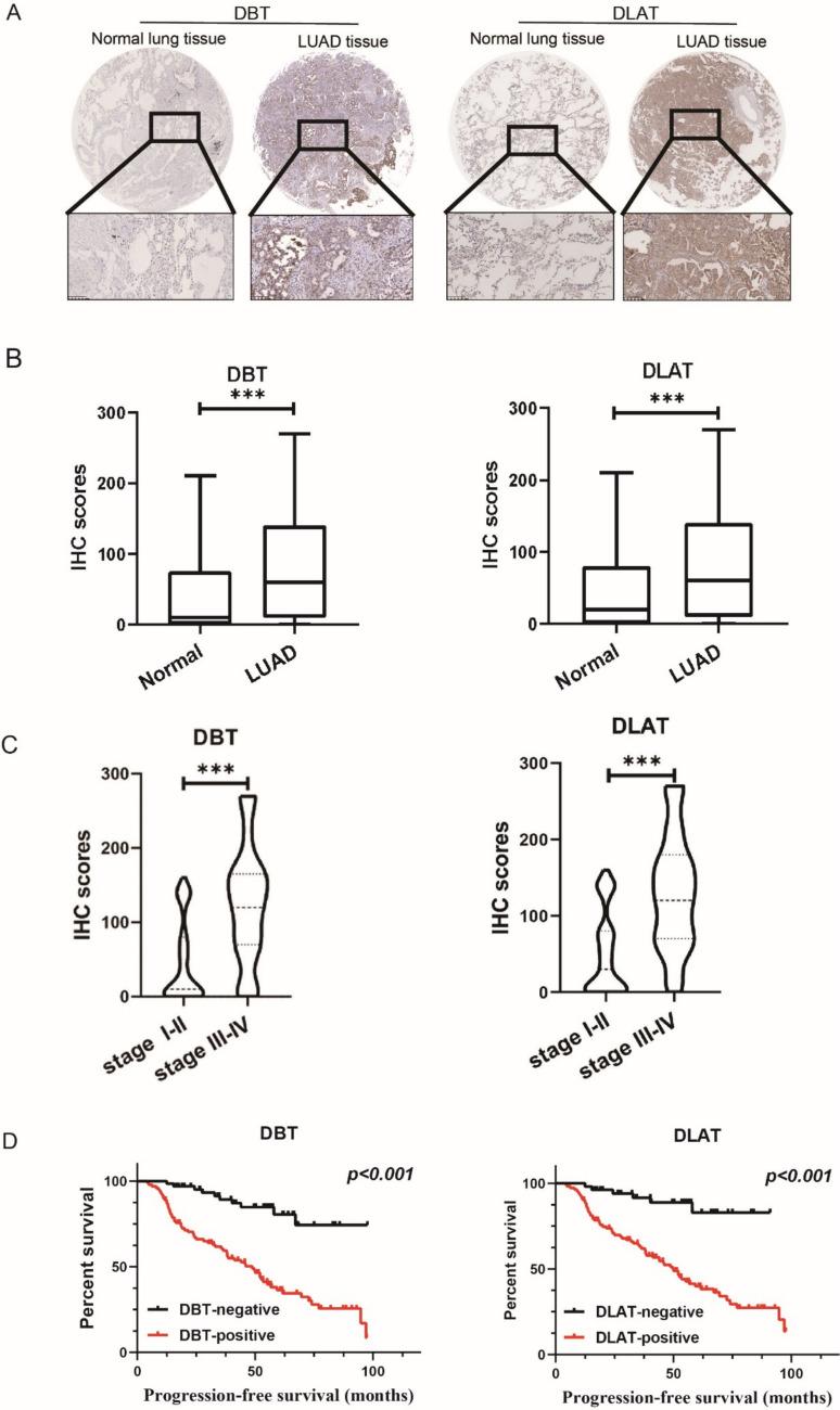 https://cdn.ncbi.nlm.nih.gov/pmc/blobs/aeba/11081990/42f078ee2bff/432_2024_5774_Fig2_HTML.jpg