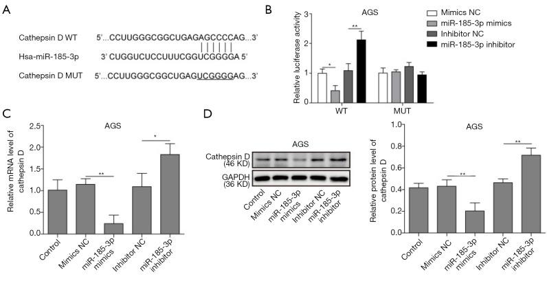https://cdn.ncbi.nlm.nih.gov/pmc/blobs/aeba/8799188/aae9d72fe35b/tcr-09-11-6988-f3.jpg