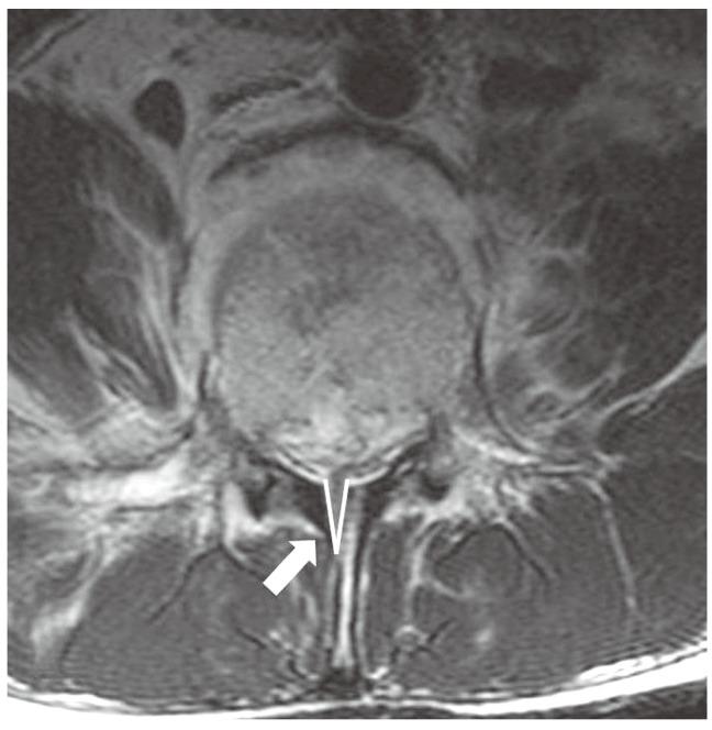 https://cdn.ncbi.nlm.nih.gov/pmc/blobs/aebd/4068854/b79513265ff2/asj-8-339-g001.jpg