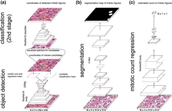 https://cdn.ncbi.nlm.nih.gov/pmc/blobs/aebd/7536430/6517bee39c8b/41598_2020_73246_Fig3_HTML.jpg