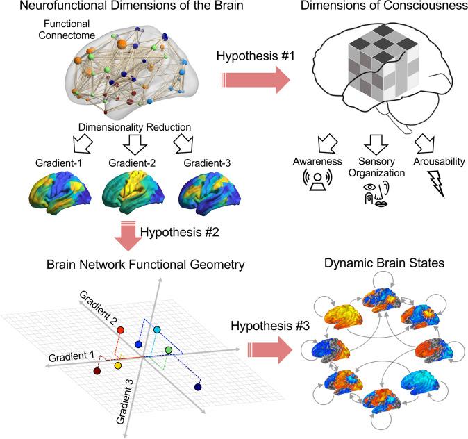 https://cdn.ncbi.nlm.nih.gov/pmc/blobs/aebd/9814511/e8ac7644bcea/41467_2022_35764_Fig1_HTML.jpg