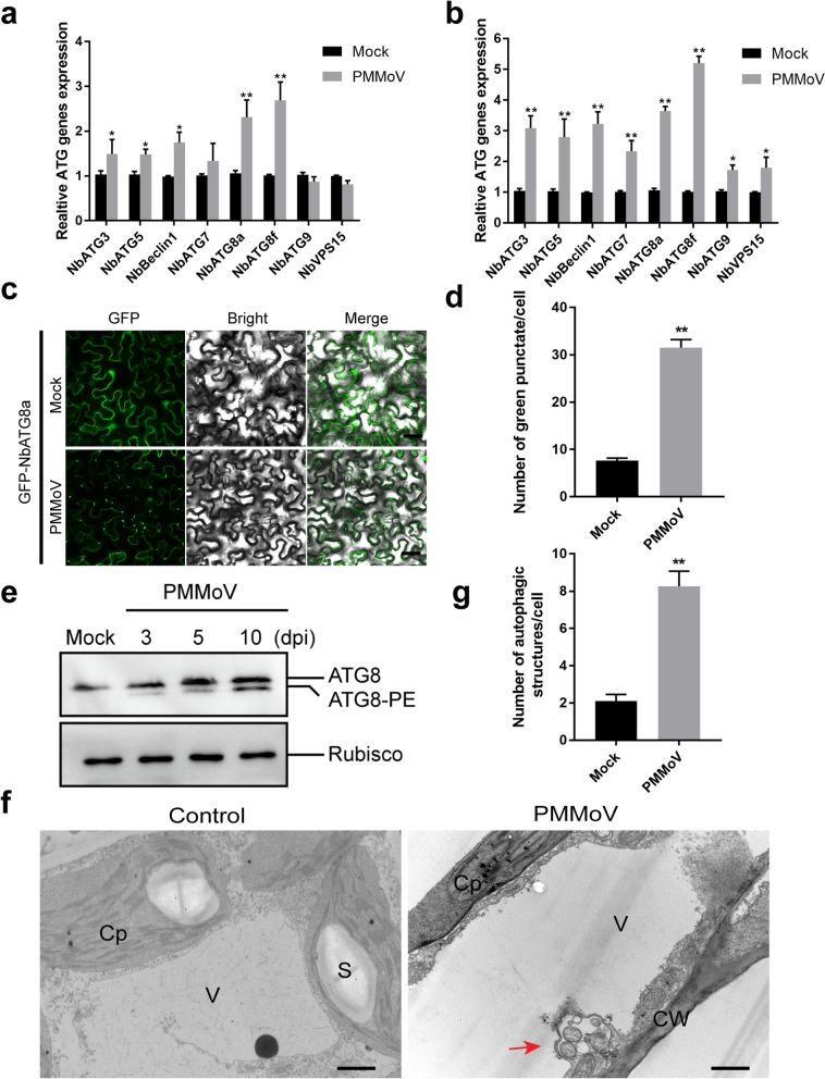 https://cdn.ncbi.nlm.nih.gov/pmc/blobs/aebf/7596970/12f0355da649/12870_2020_2711_Fig3_HTML.jpg