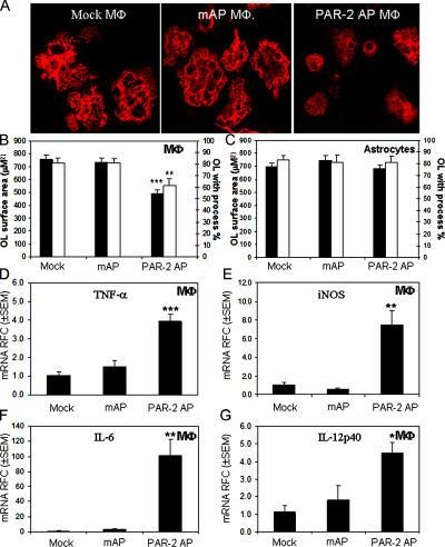 https://cdn.ncbi.nlm.nih.gov/pmc/blobs/aec1/2118197/16f5633629e9/jem2030425f04.jpg