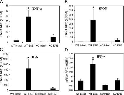 https://cdn.ncbi.nlm.nih.gov/pmc/blobs/aec1/2118197/52b69e255117/jem2030425f07.jpg